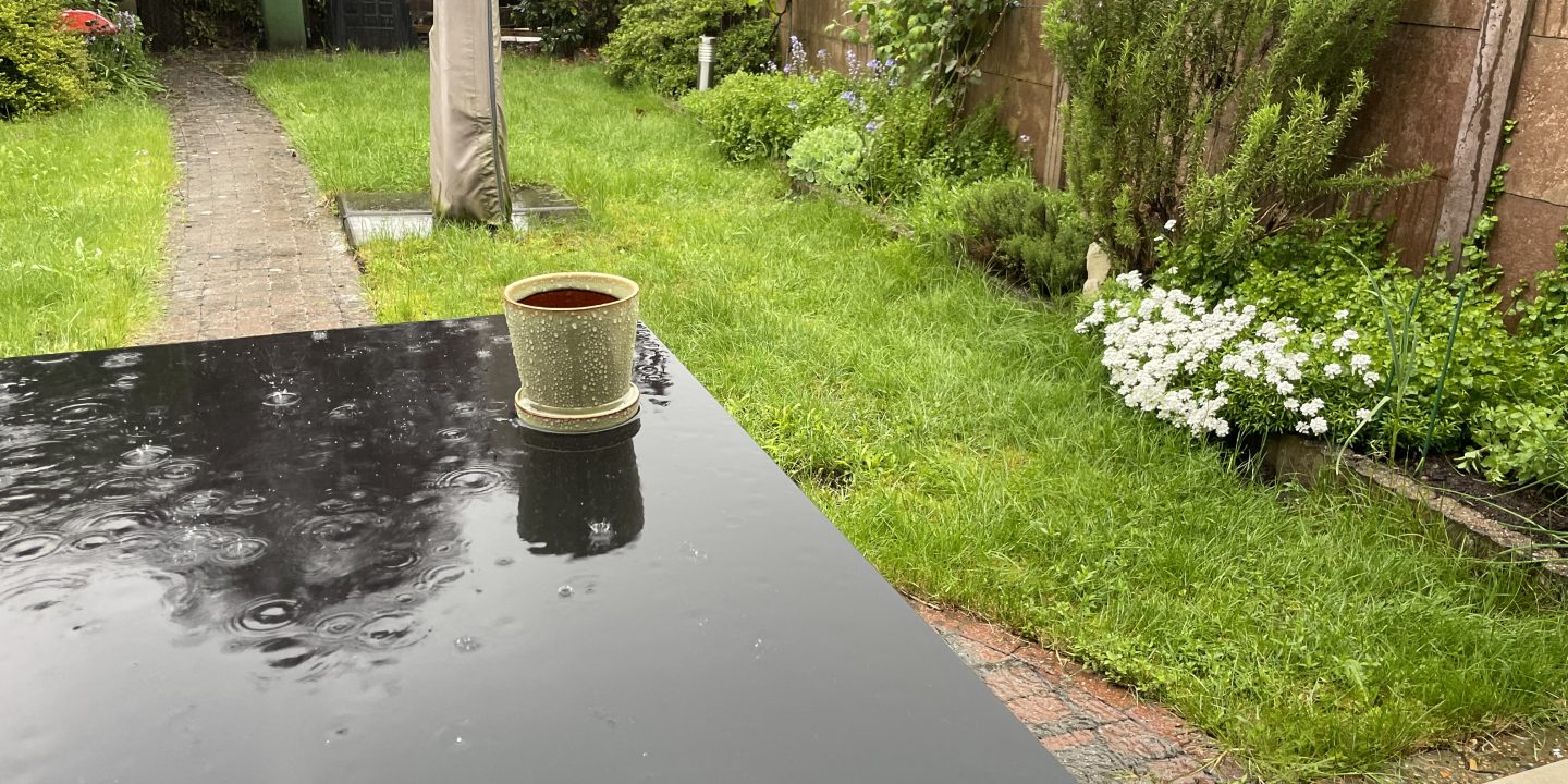 petrichor taalweetje geur van regen