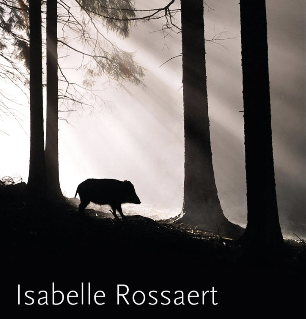 Dat is wat ik bemin Isabelle Rossaert