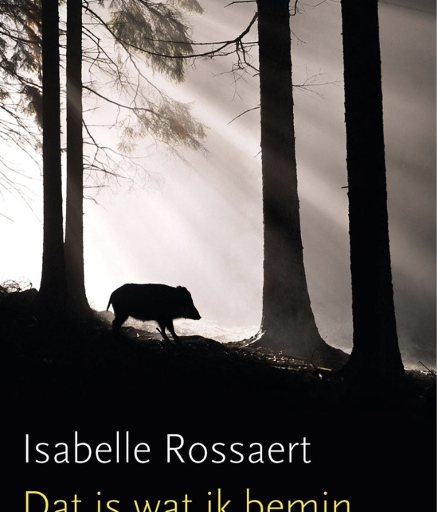 Dat is wat ik bemin Isabelle Rossaert