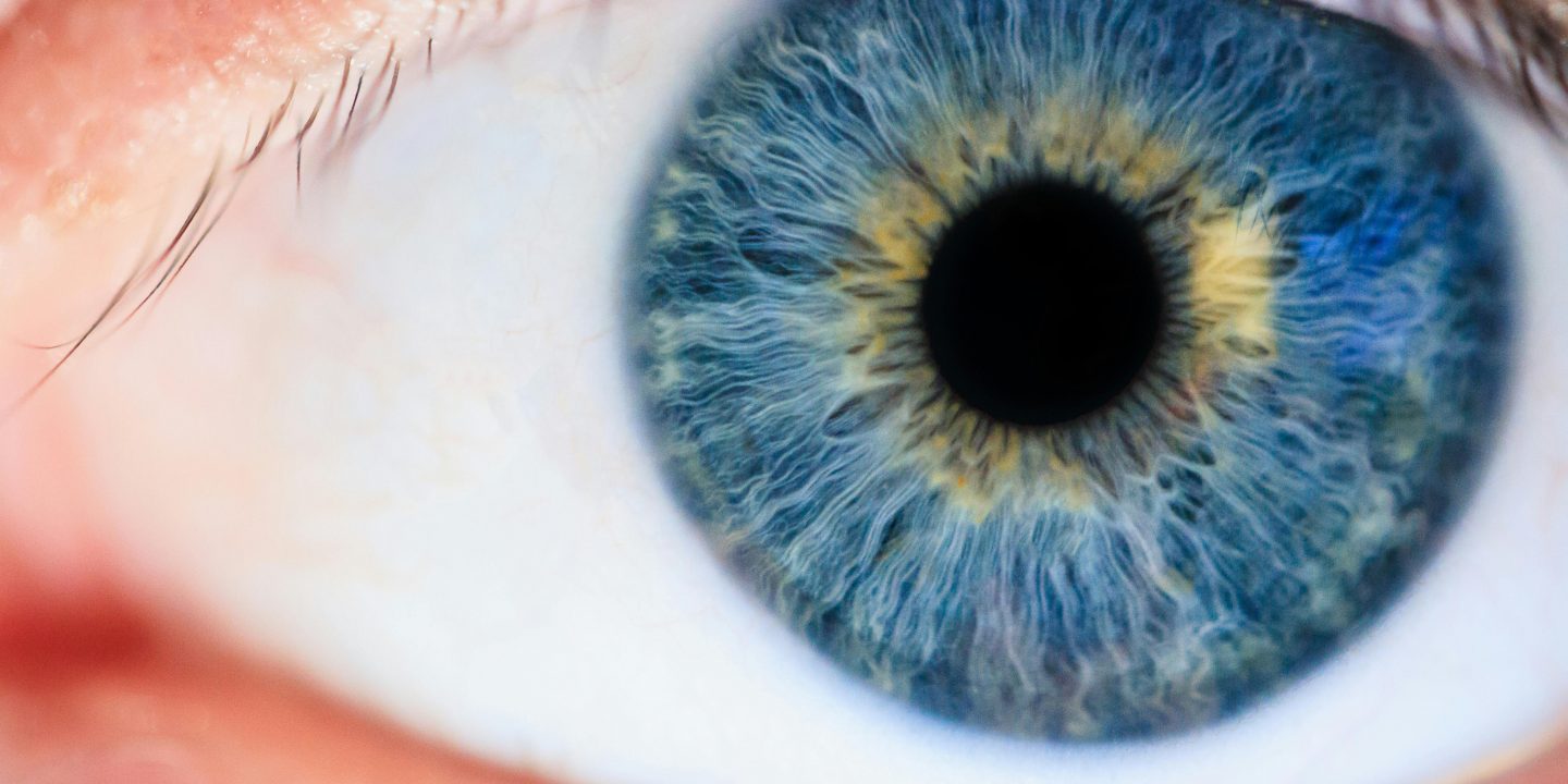 Blauw