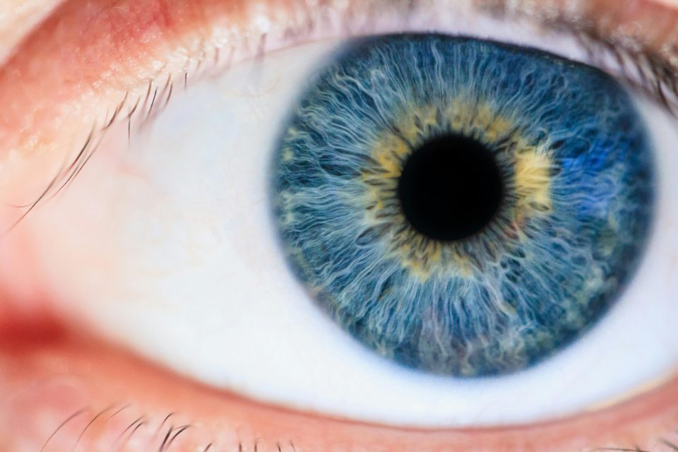Blauw