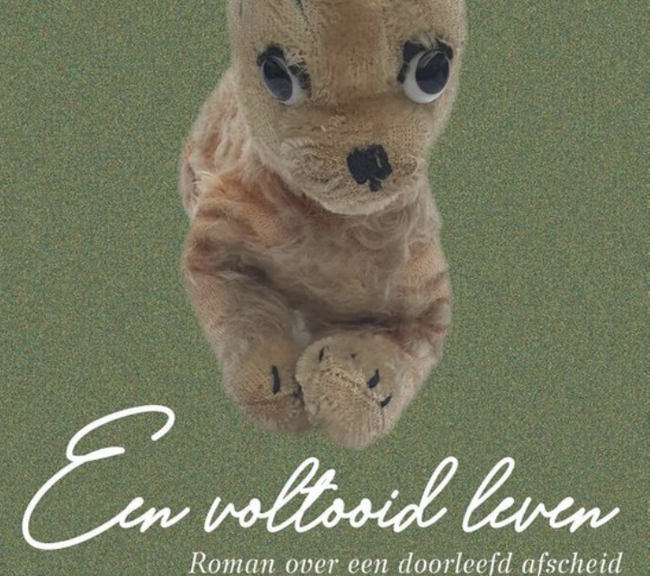 Een voltooid leven Annerieke de Vries