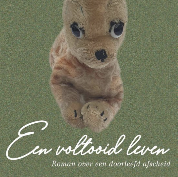 Een voltooid leven Annerieke de Vries