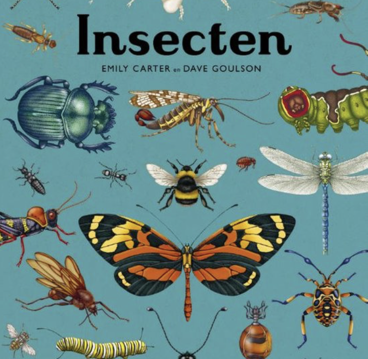 Insecten