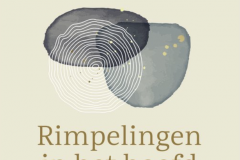 Rimpelingen in het hoofd van ouderen Mathieu vandenbulcke